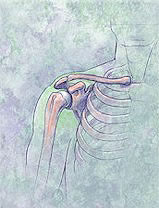 shoulder repair